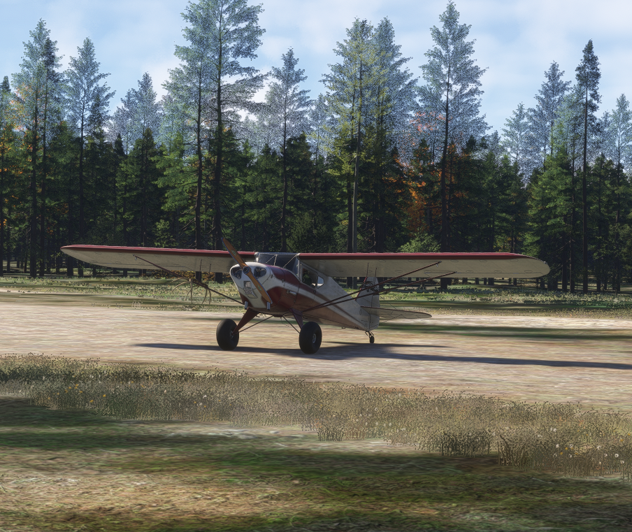 Taylorcraft BC-12D: Bush